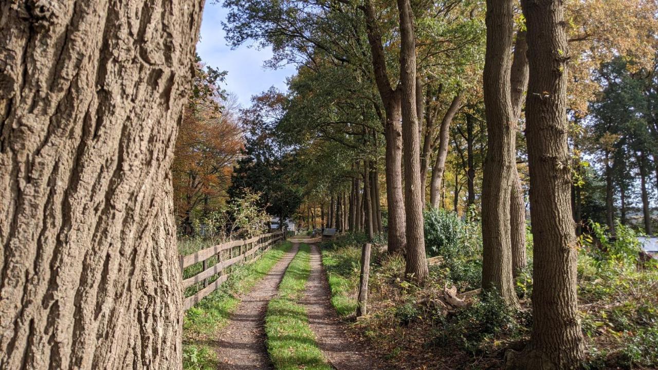 Chalet Op De Veluwe # Beuk Putten Ngoại thất bức ảnh