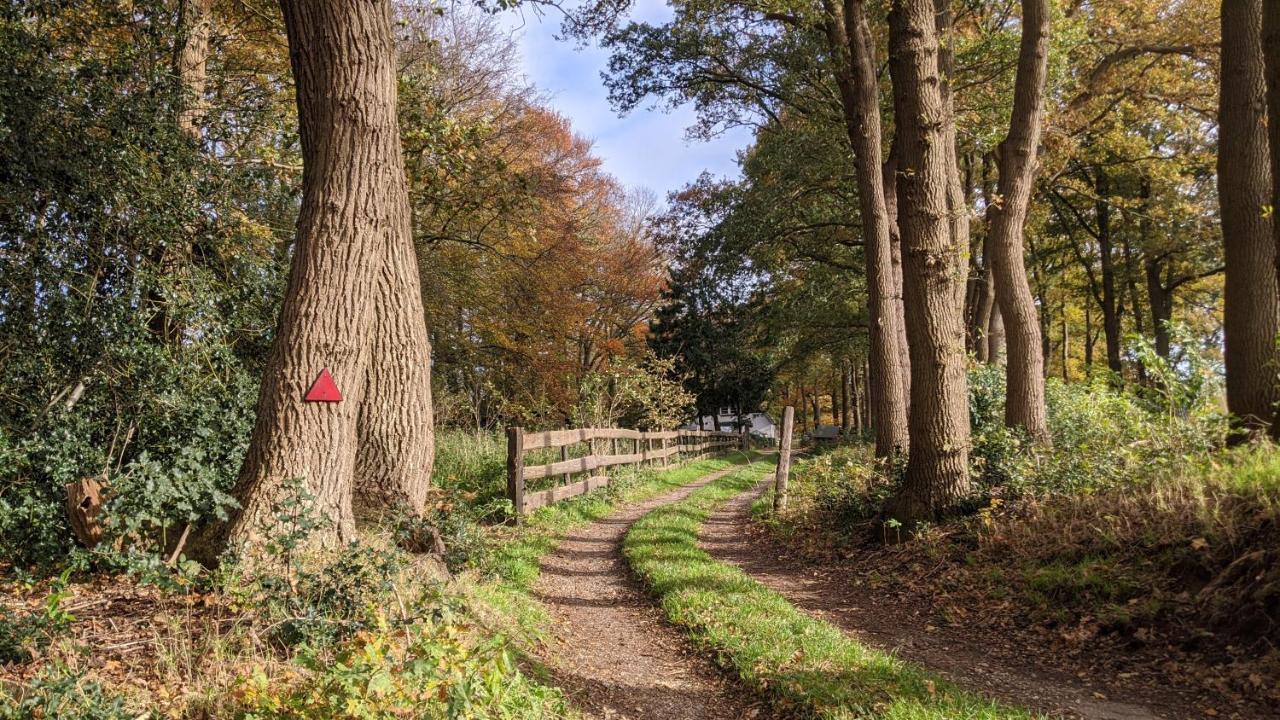 Chalet Op De Veluwe # Beuk Putten Ngoại thất bức ảnh