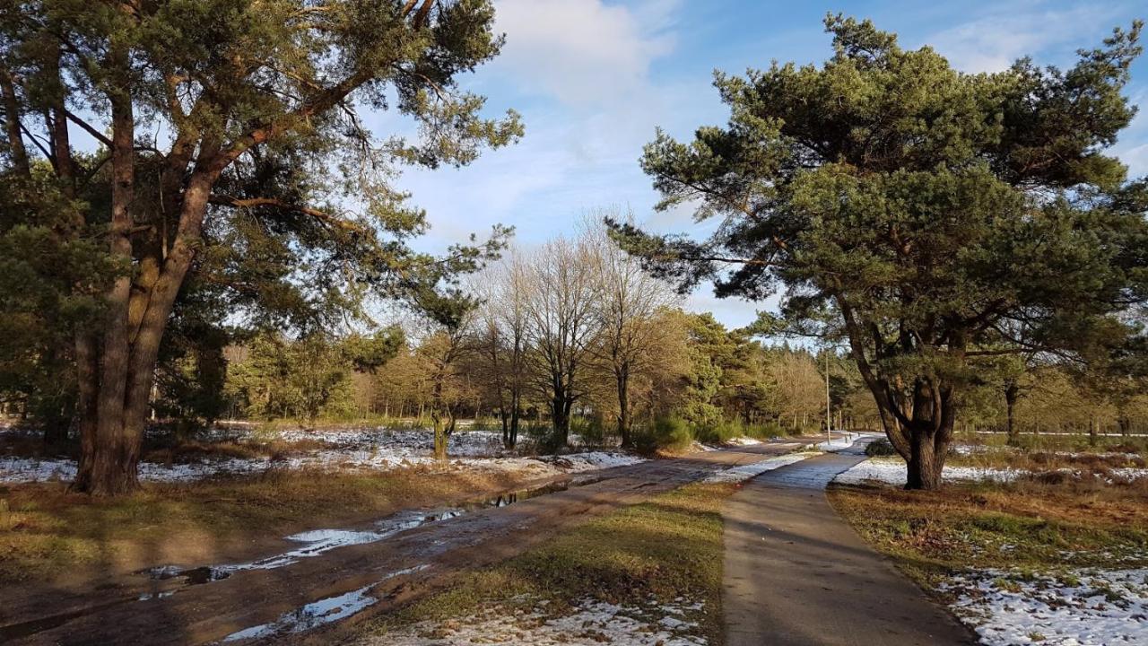 Chalet Op De Veluwe # Beuk Putten Ngoại thất bức ảnh