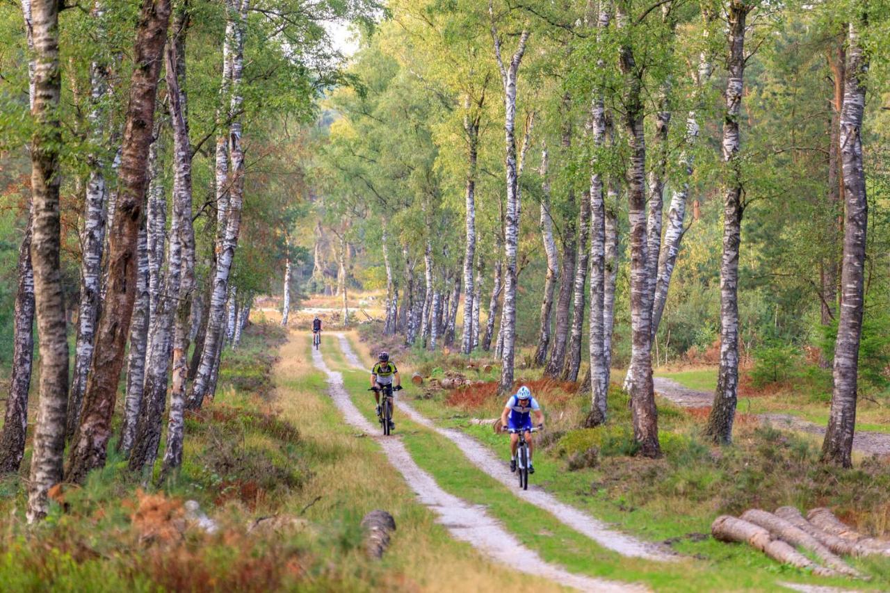 Chalet Op De Veluwe # Beuk Putten Ngoại thất bức ảnh