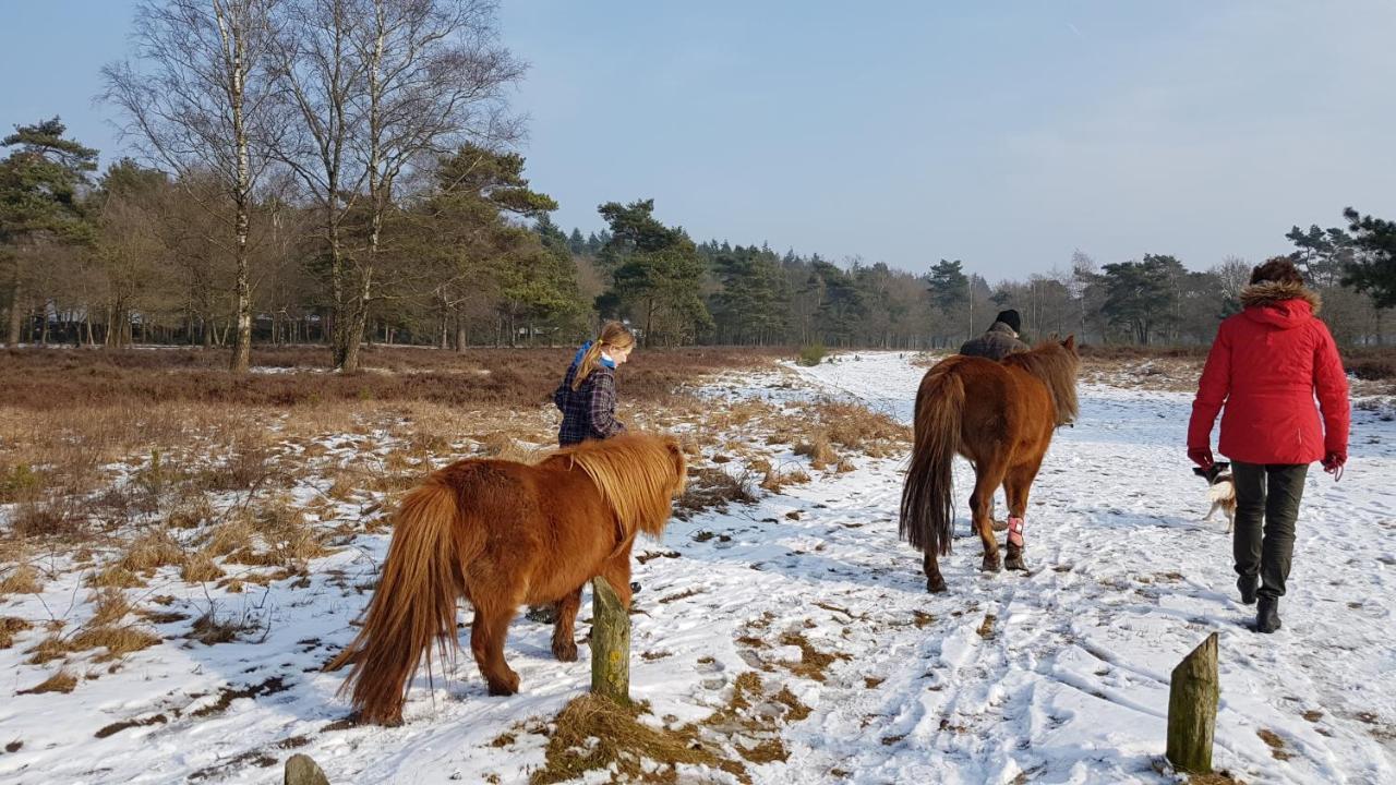 Chalet Op De Veluwe # Beuk Putten Ngoại thất bức ảnh