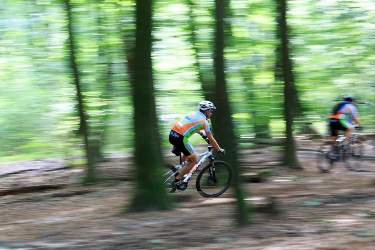 Chalet Op De Veluwe # Beuk Putten Ngoại thất bức ảnh